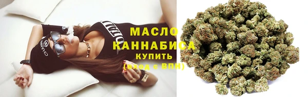 дурь Няндома