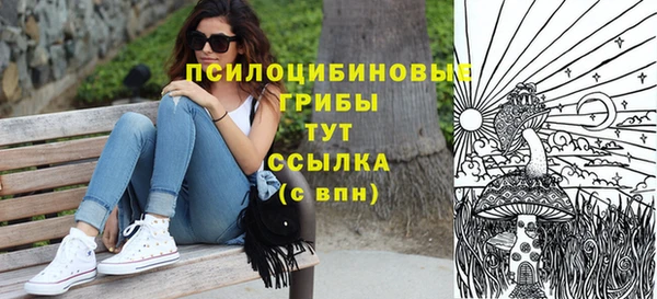 дурь Няндома