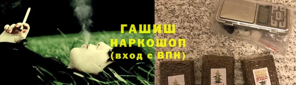 дурь Няндома