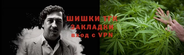 дурь Няндома