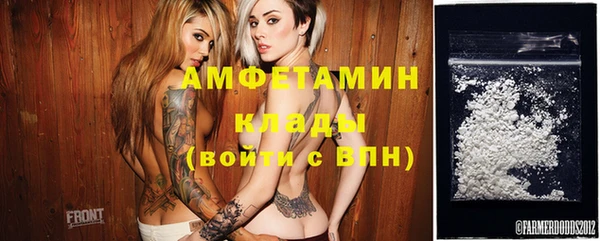 дурь Няндома