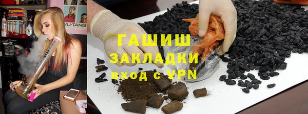 дурь Няндома