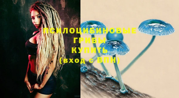 дурь Няндома