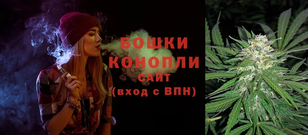 винт Нягань