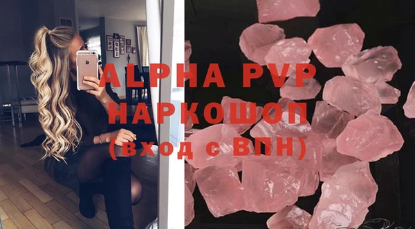 дурь Няндома