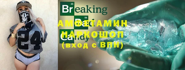 дурь Няндома