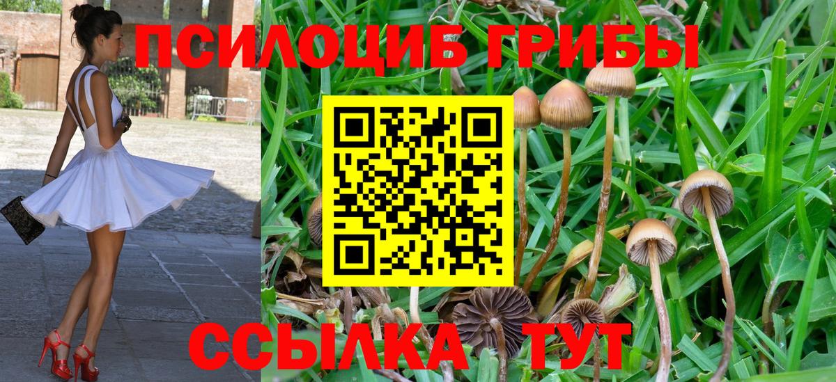 Галлюциногенные грибы MAGIC MUSHROOMS Зеленокумск