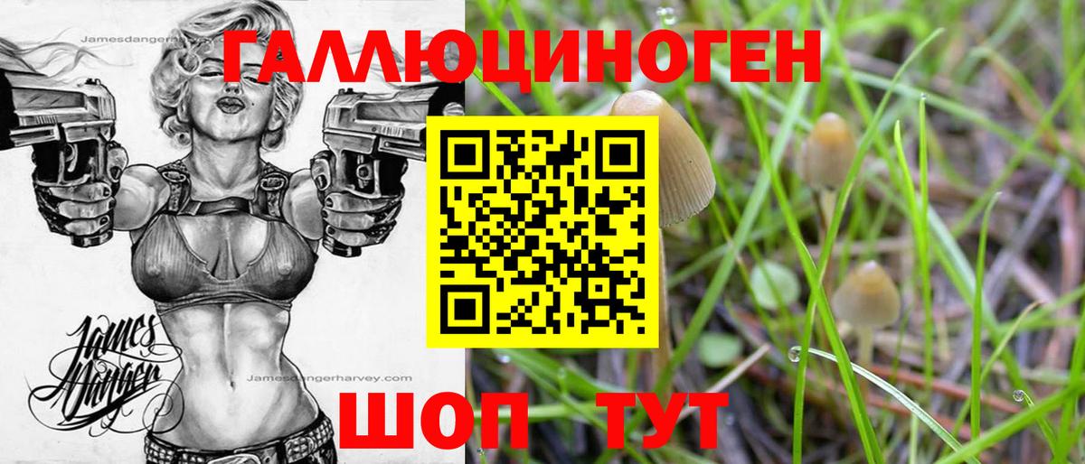 Галлюциногенные грибы прущие грибы Зеленокумск
